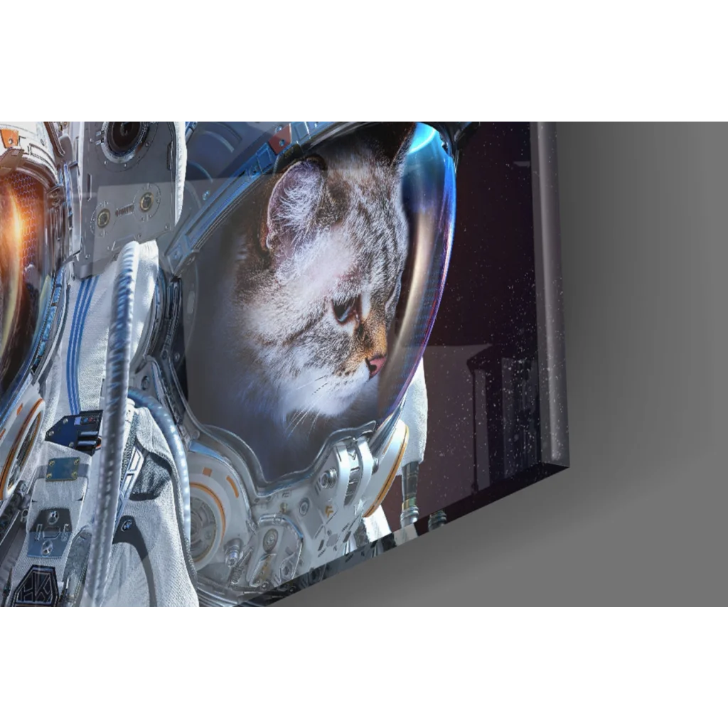 Tabby cat in astronaut helmet space wall art canvas print