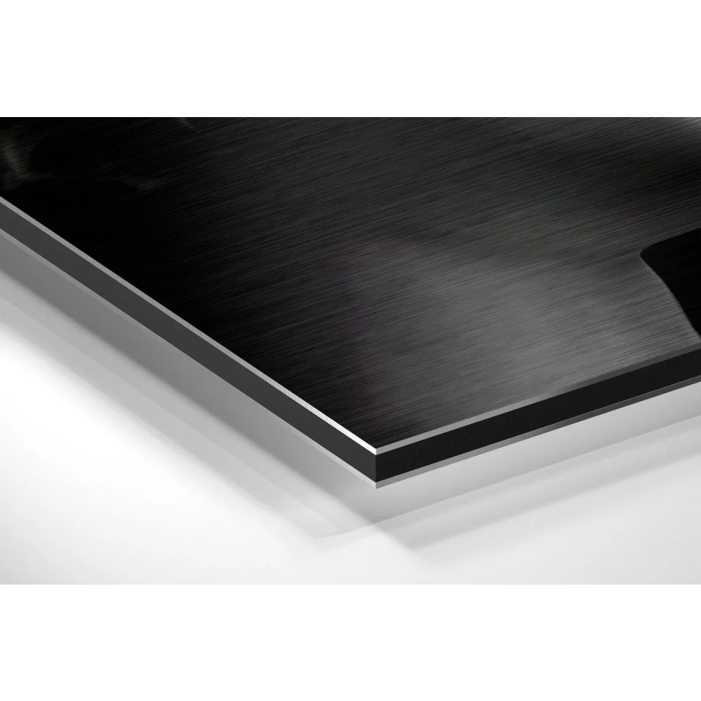 Statues Brushed Aluminium Dibond Wall Art