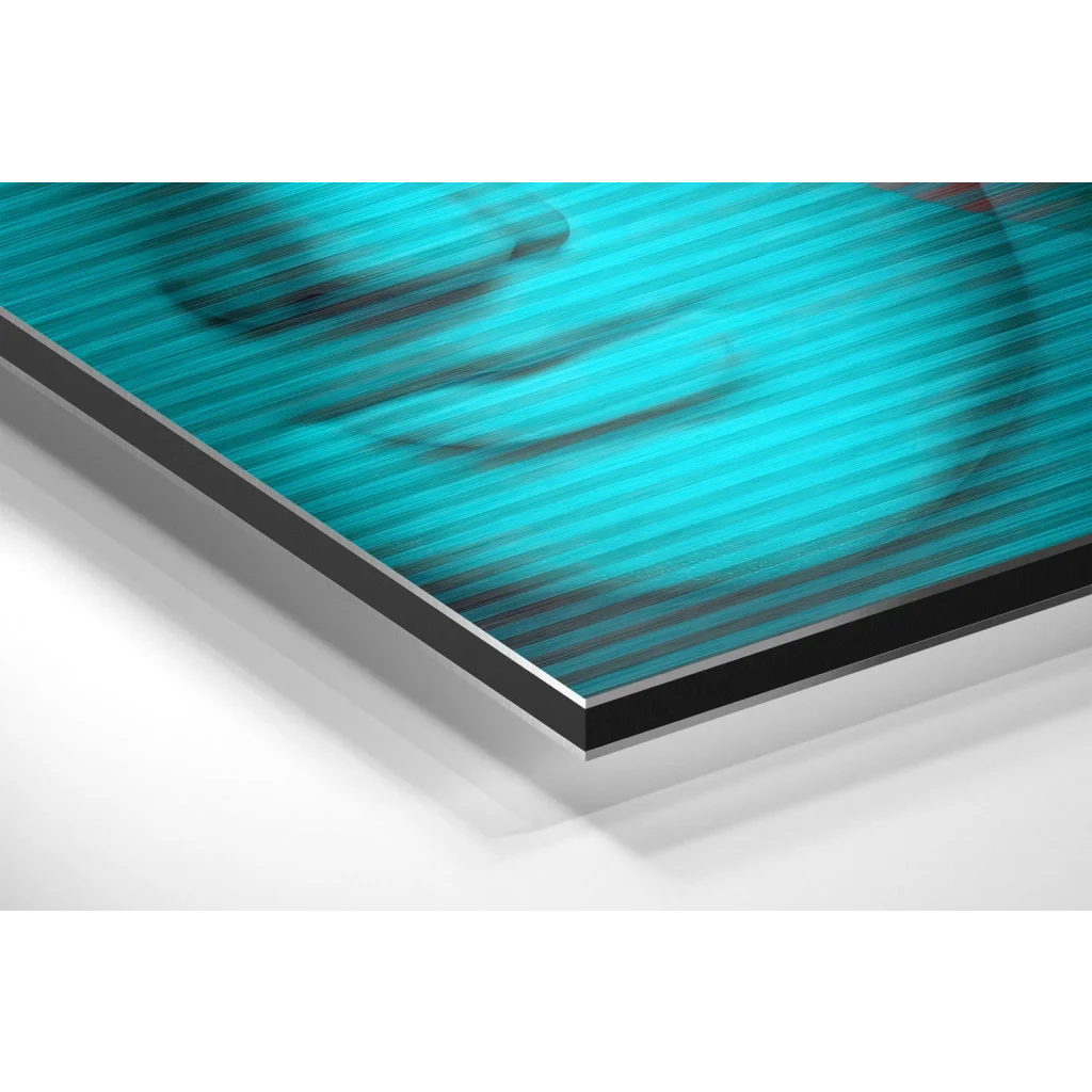 Statues Brushed Aluminium Dibond Wall Art