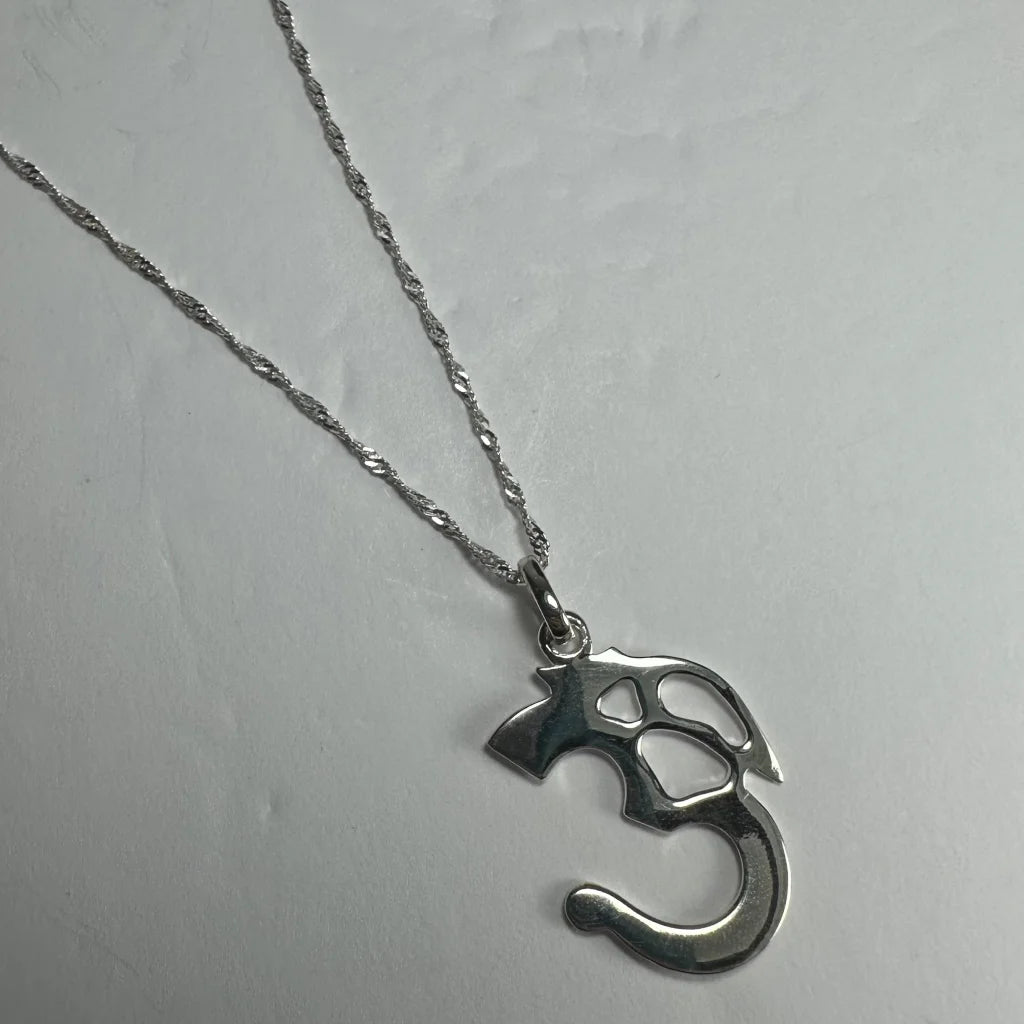 Sterling silver ohm pendant on twisted rope chain