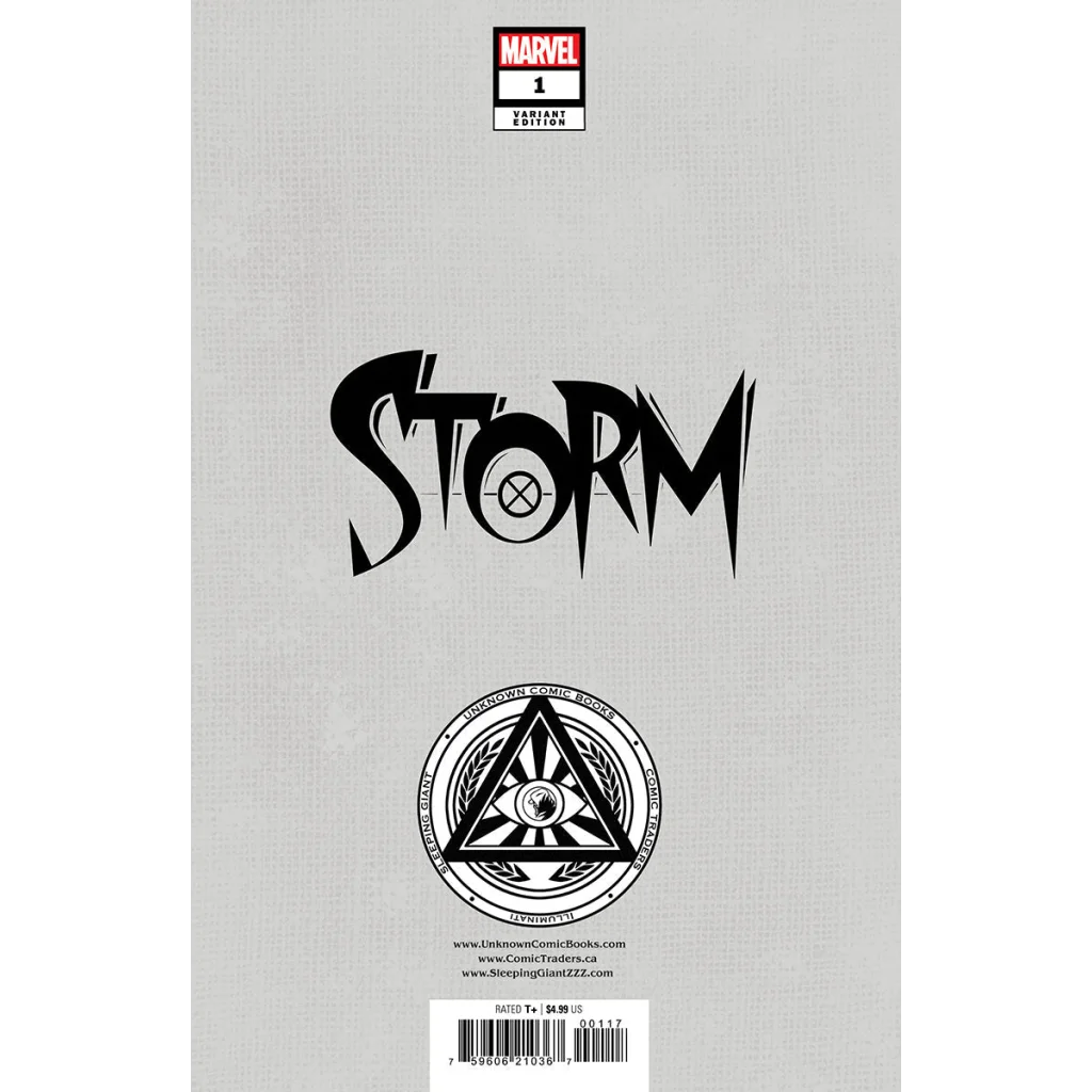 Comic book cover for Storm #1 by David Nakayama, Unknown Comics Exclusive Virgin Variant