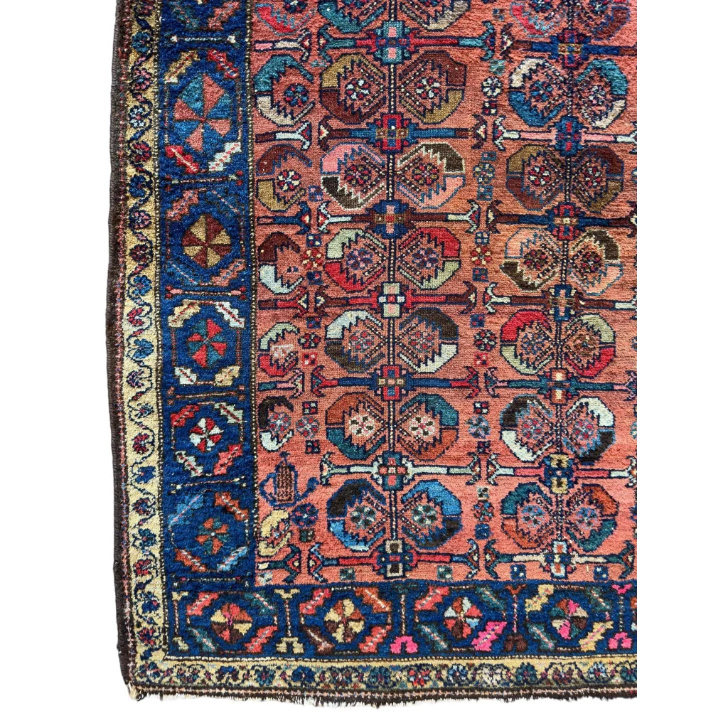 Rare antique 1920s Hamedan Enjelas rug from Persia, border detail with geometric floral motifs