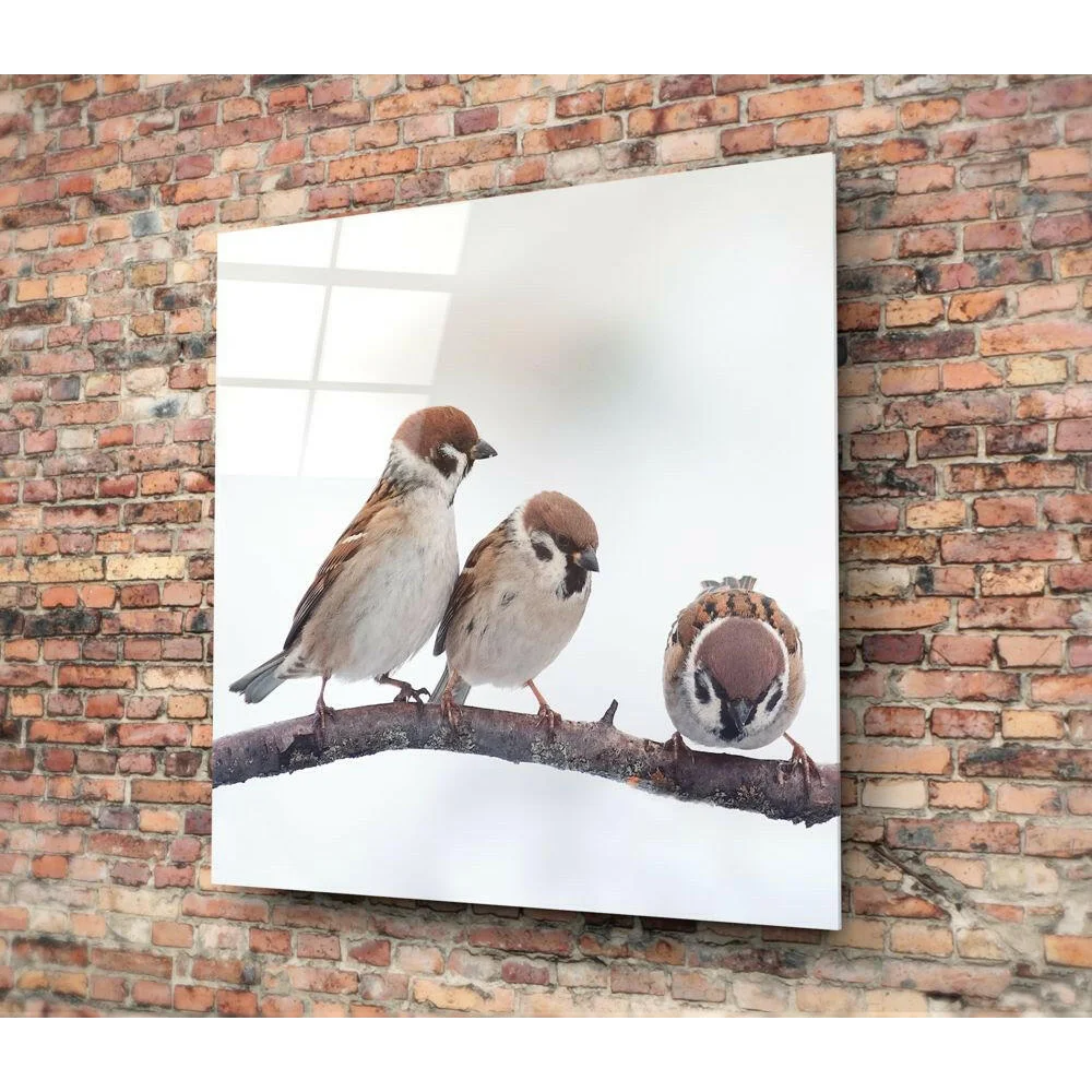 Stunning 3D printed sparrow wall art bringing nature inside
