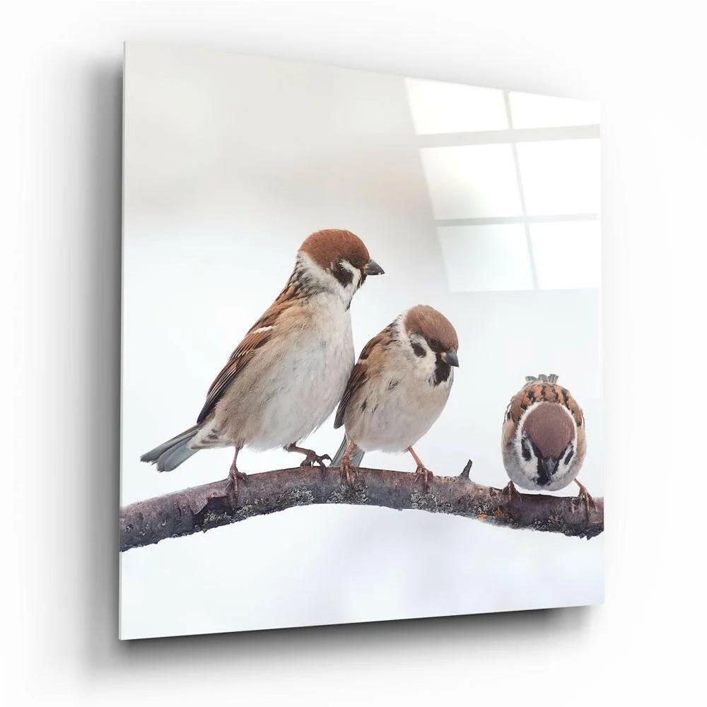 3D glass wall art of three sparrows on a branch