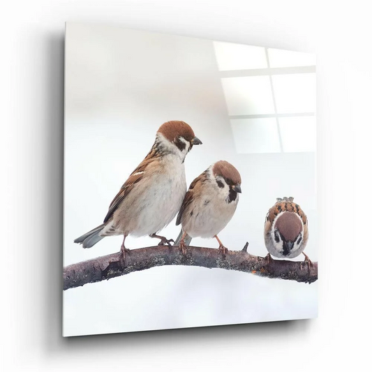 3D glass wall art of three sparrows on a branch