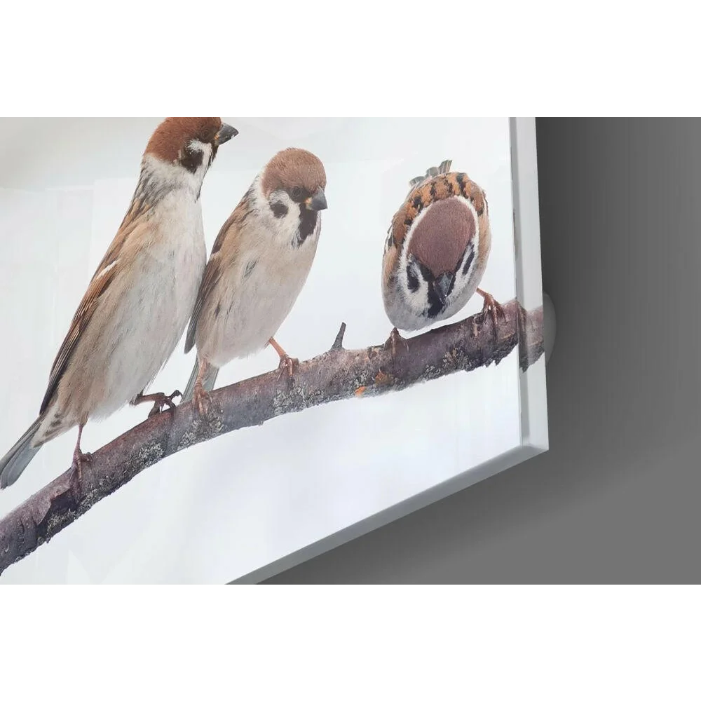 3D printed sparrow wall art bringing nature inside