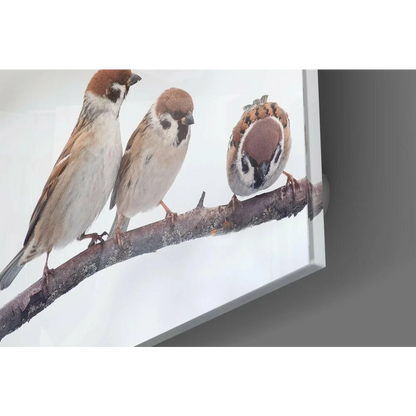 3D printed sparrow wall art bringing nature inside