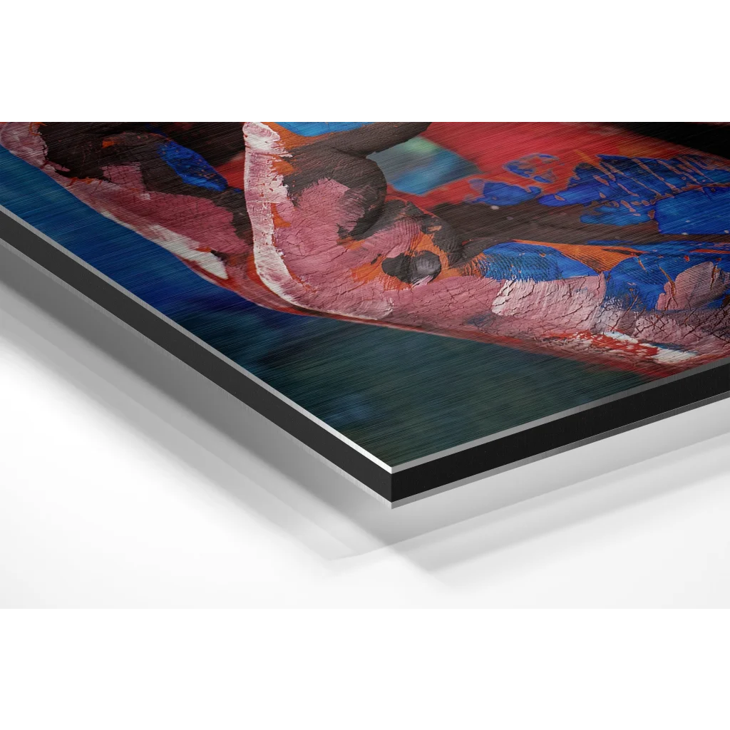 Black and white abstract art with red blue orange yellow accents on brushed aluminium dibond panel