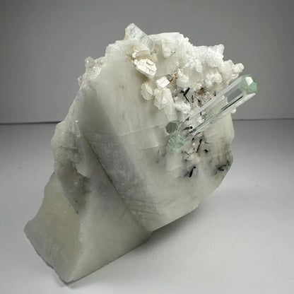 Stunning aquamarine beryl crystal with black tourmaline on albite