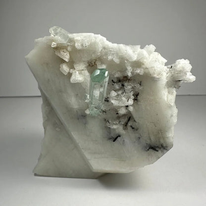 Stunning aquamarine beryl crystal with black tourmaline on albite