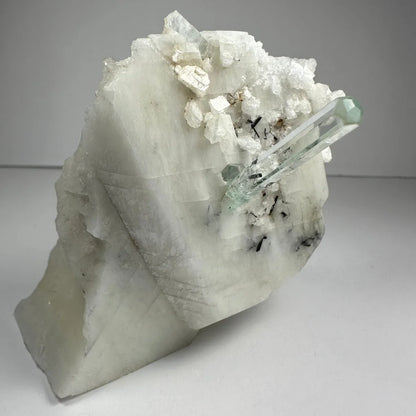 Stunning aquamarine beryl crystal with black tourmaline on albite matrix