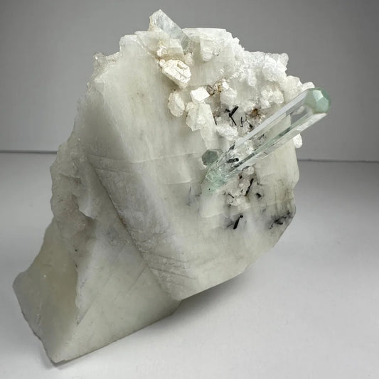 Stunning aquamarine beryl crystal with black tourmaline on albite matrix