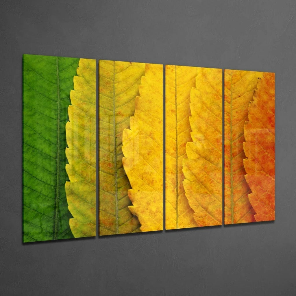 Stunning autumn leaves glass wall art triptych set with 4-panel design