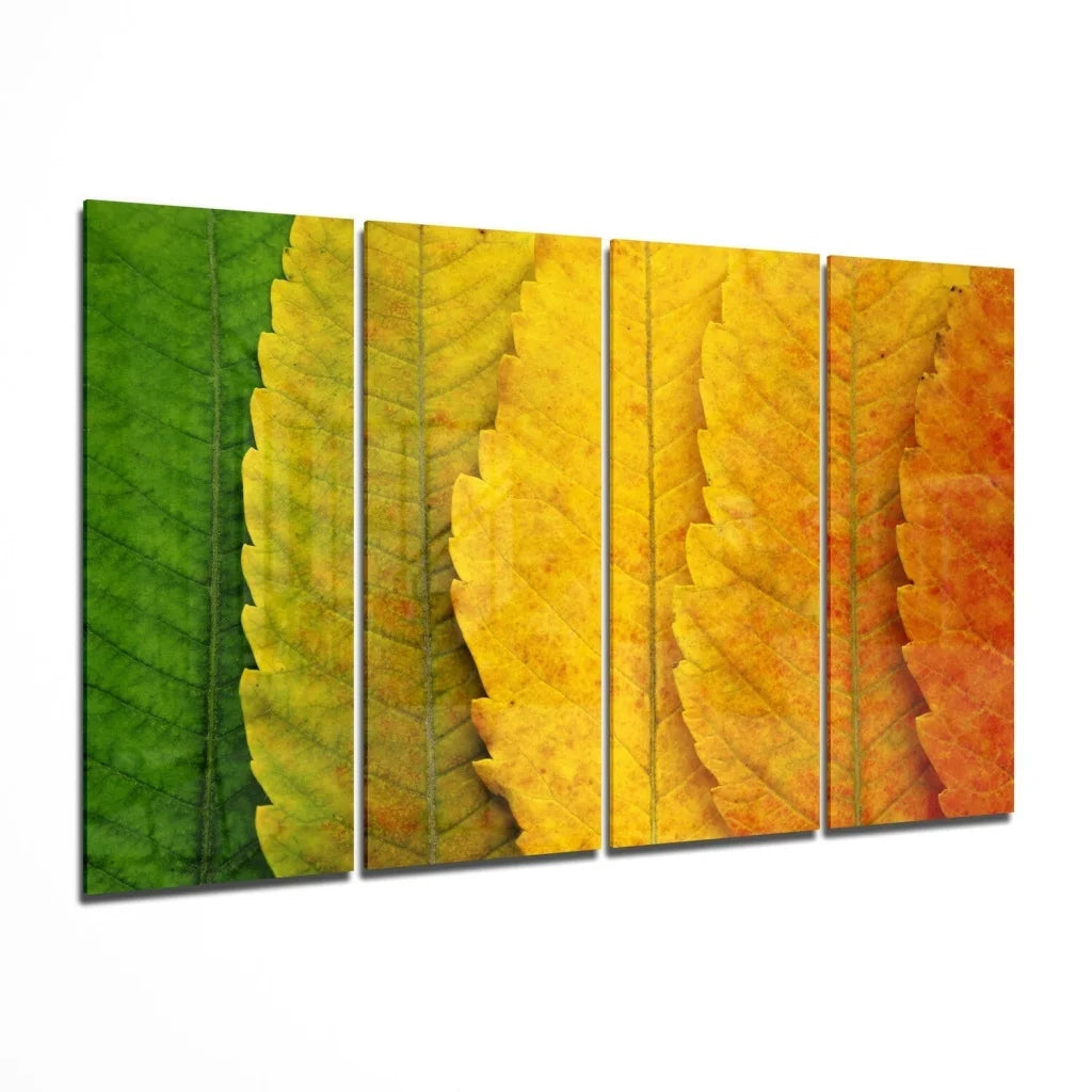 Vibrant autumn leaves glass wall art triptych with green to orange gradients and dew drops