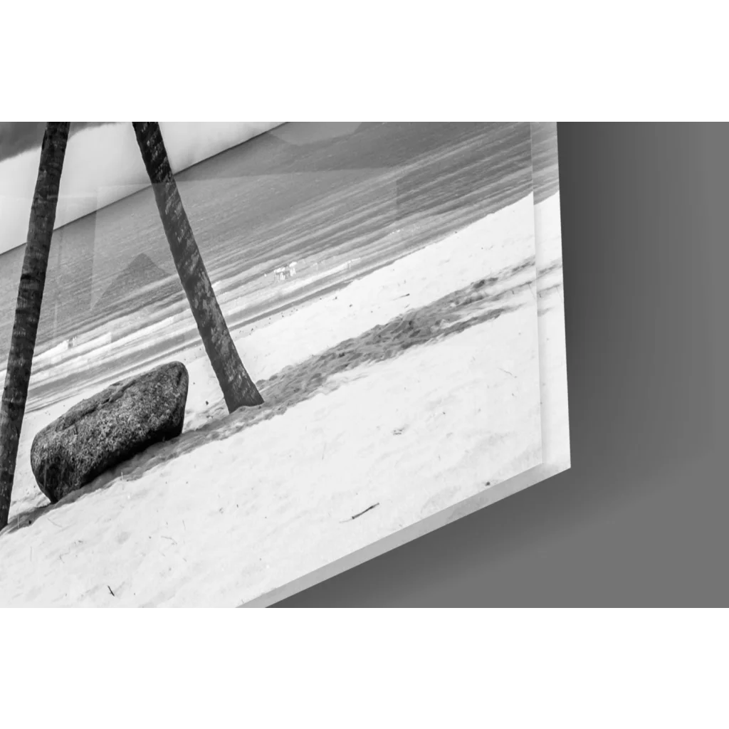 Black-and-white glass wall art print of beach palm trees and rock on sand