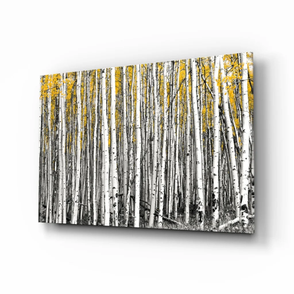 Stunning birch forest canvas wall art with golden yellow leaves, 12x8 inches