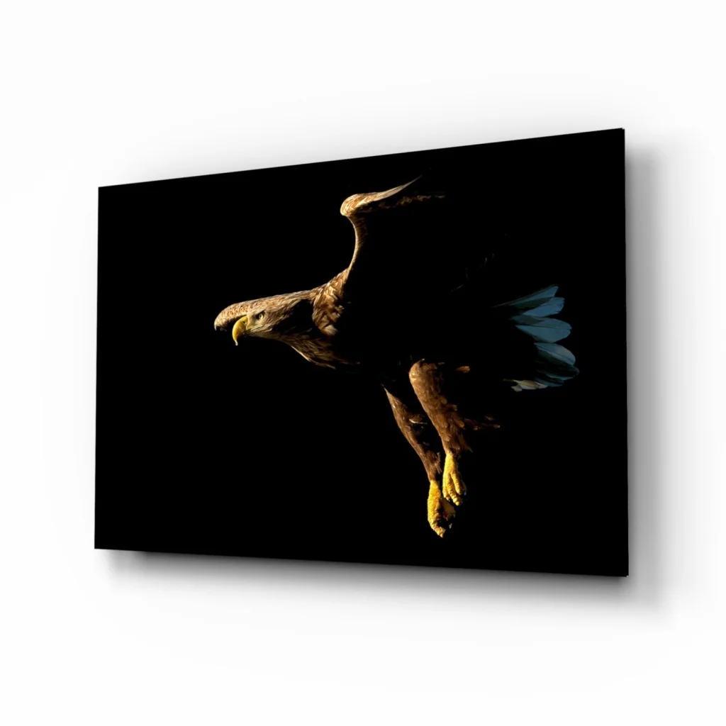 Stunning black and brown eagle canvas wall art with gold accents