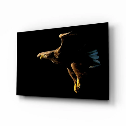 Stunning black and brown eagle canvas wall art with gold accents
