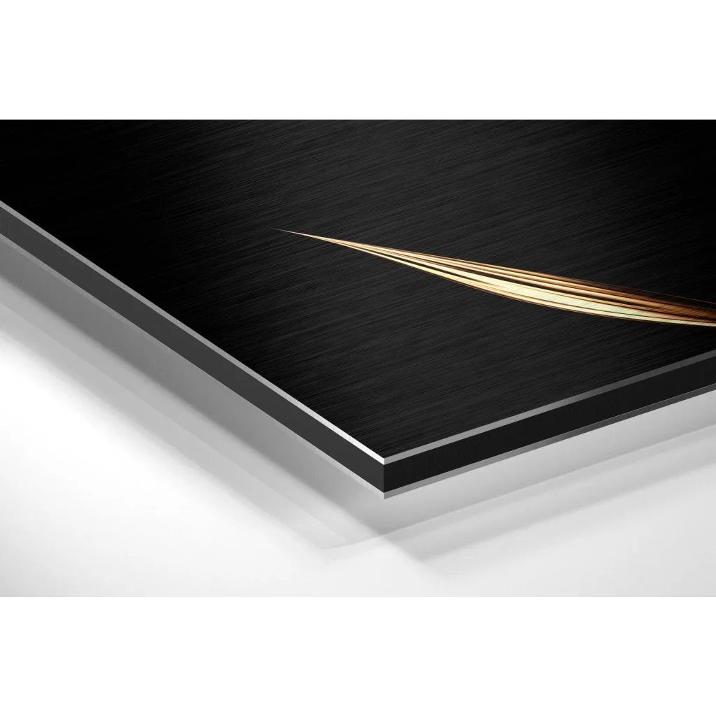 Glass Wall Art Stunning black gold abstract art on brushed aluminium dibond