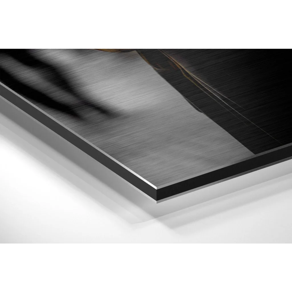 Stunning Black Panther brushed aluminium Dibond wall art in black rectangular frame