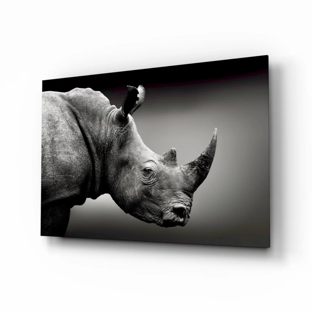 Stunning black rhino canvas wall art print with textured design