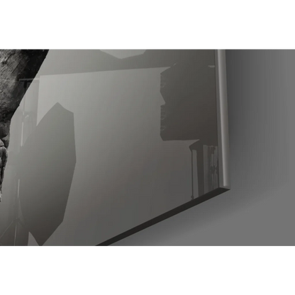 Stunning Black Rhino glass wall art with textured silver laptop case design