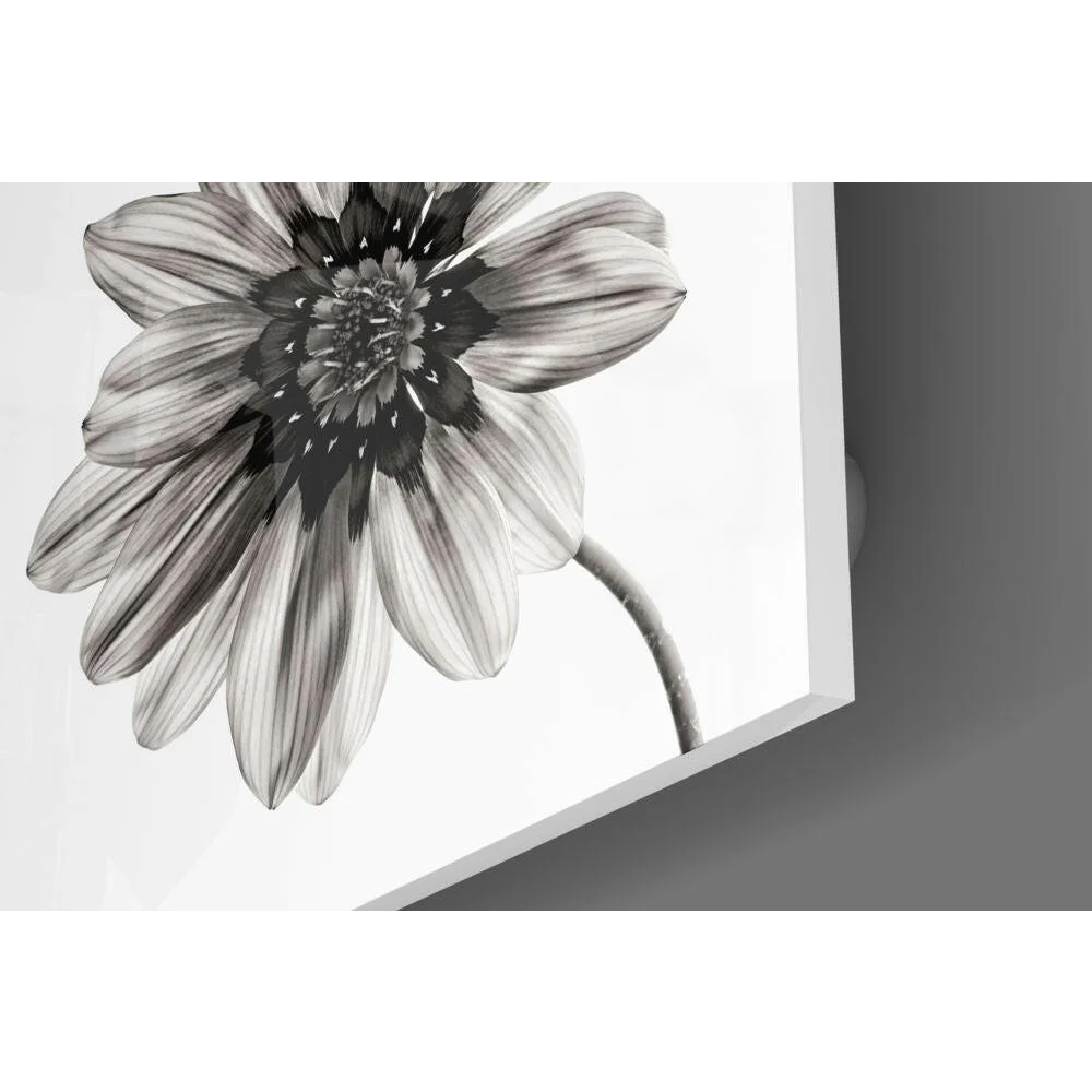 Stunning Black and White Dahlia Flower Wall Art Print | Modern Wall Art Decor | vintageantiquesgifts.com