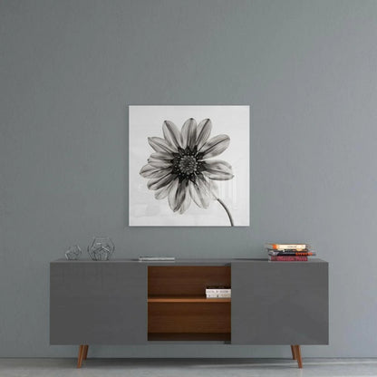 Stunning Black and White Dahlia Flower Wall Art Print | Contemporary Home Wall Art | vintageantiquesgifts.com