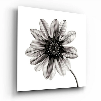 Stunning Black and White Dahlia Flower Wall Art Print | Insigneart USA | vintageantiquesgifts.com