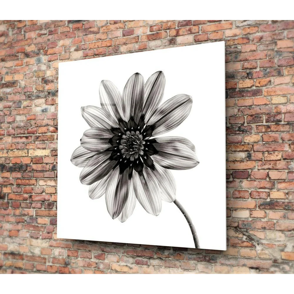Stunning Black and White Dahlia Flower Wall Art Print | Glass Wall Art Print | vintageantiquesgifts.com