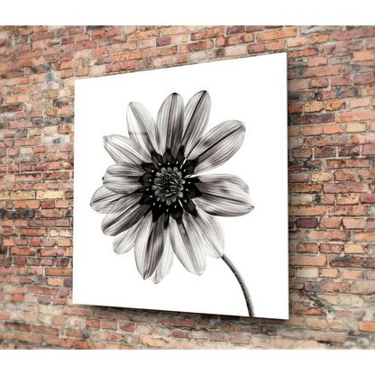 Stunning Black and White Dahlia Flower Wall Art Print | Glass Wall Art Print | vintageantiquesgifts.com