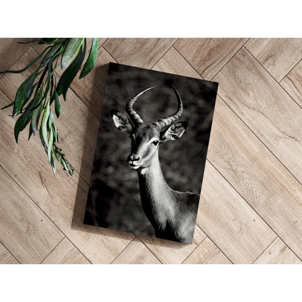 Stunning black and white deer canvas print on wood frame