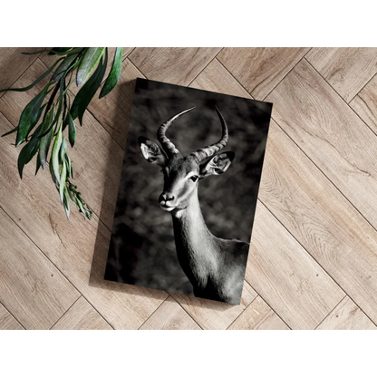 Stunning black and white deer canvas print on wood frame