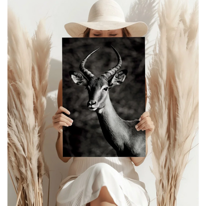 Stunning black and white antelope canvas print on wood frame