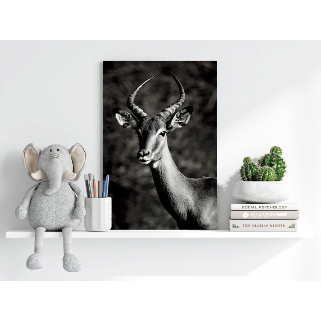 Stunning black and white antelope canvas print on wood frame
