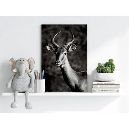 Stunning black and white antelope canvas print on wood frame