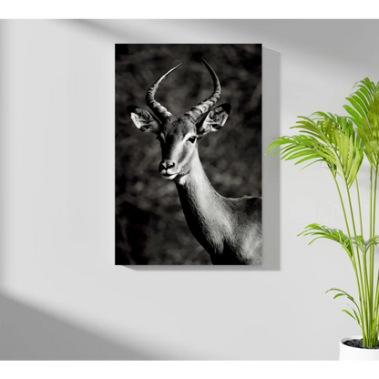 Stunning black and white antelope deer canvas print on wood frame