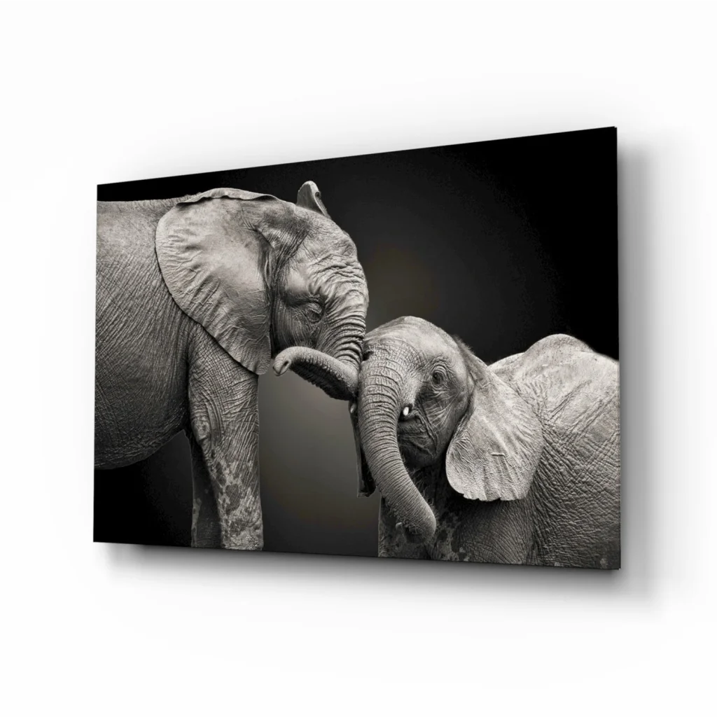 Stunning black white elephant canvas wall art with texture