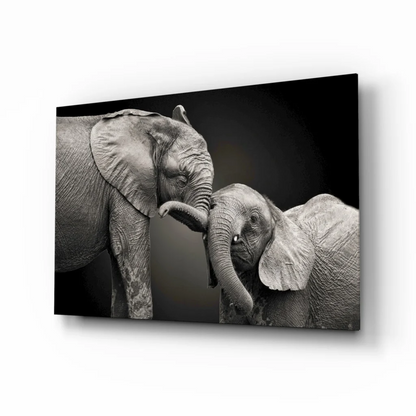 Stunning black white elephant canvas wall art with texture
