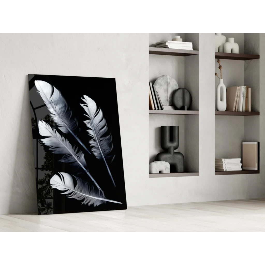 Stunning black and white feather wall art canvas print