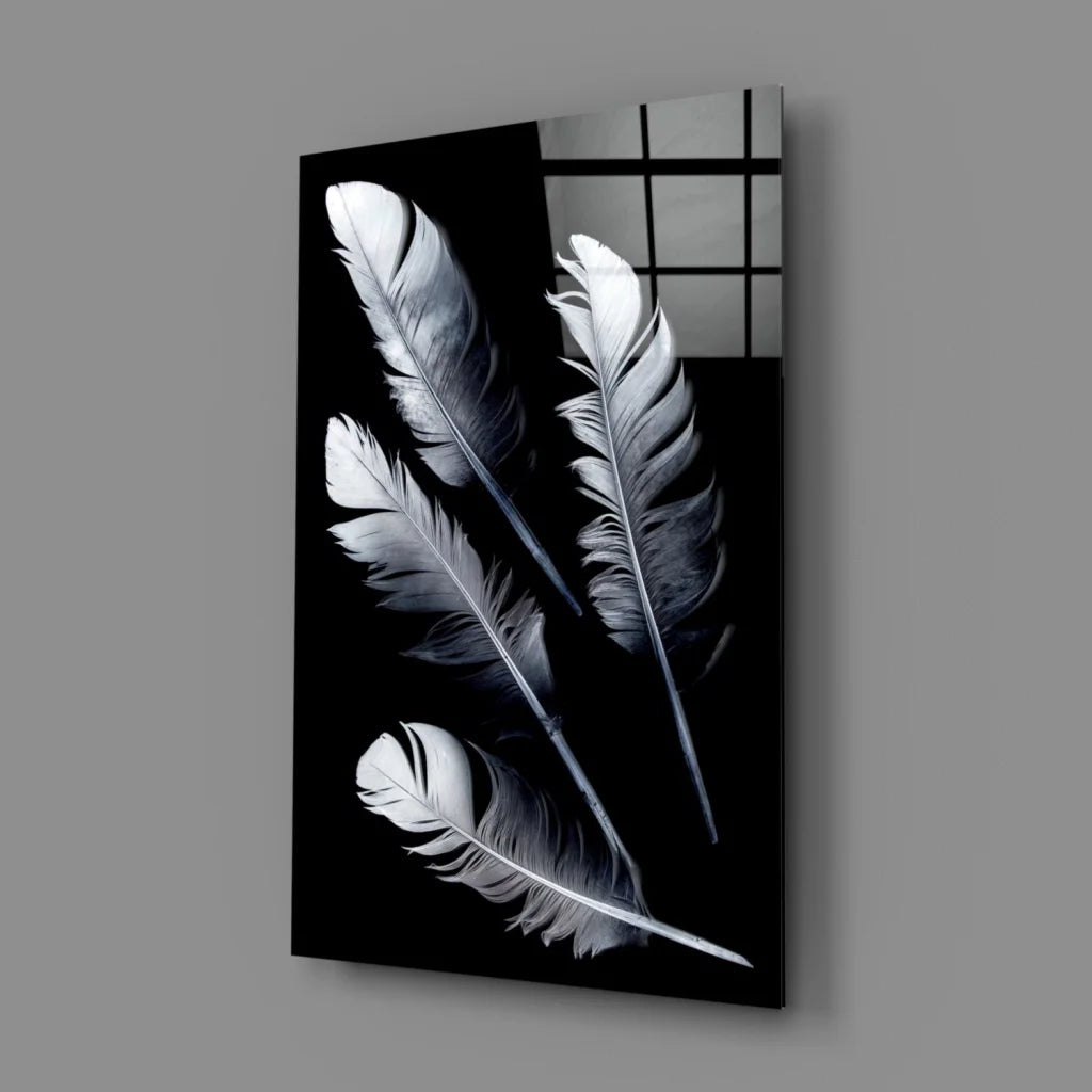 Stunning black and white feather canvas wall art print