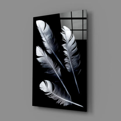 Stunning black and white feather canvas wall art print