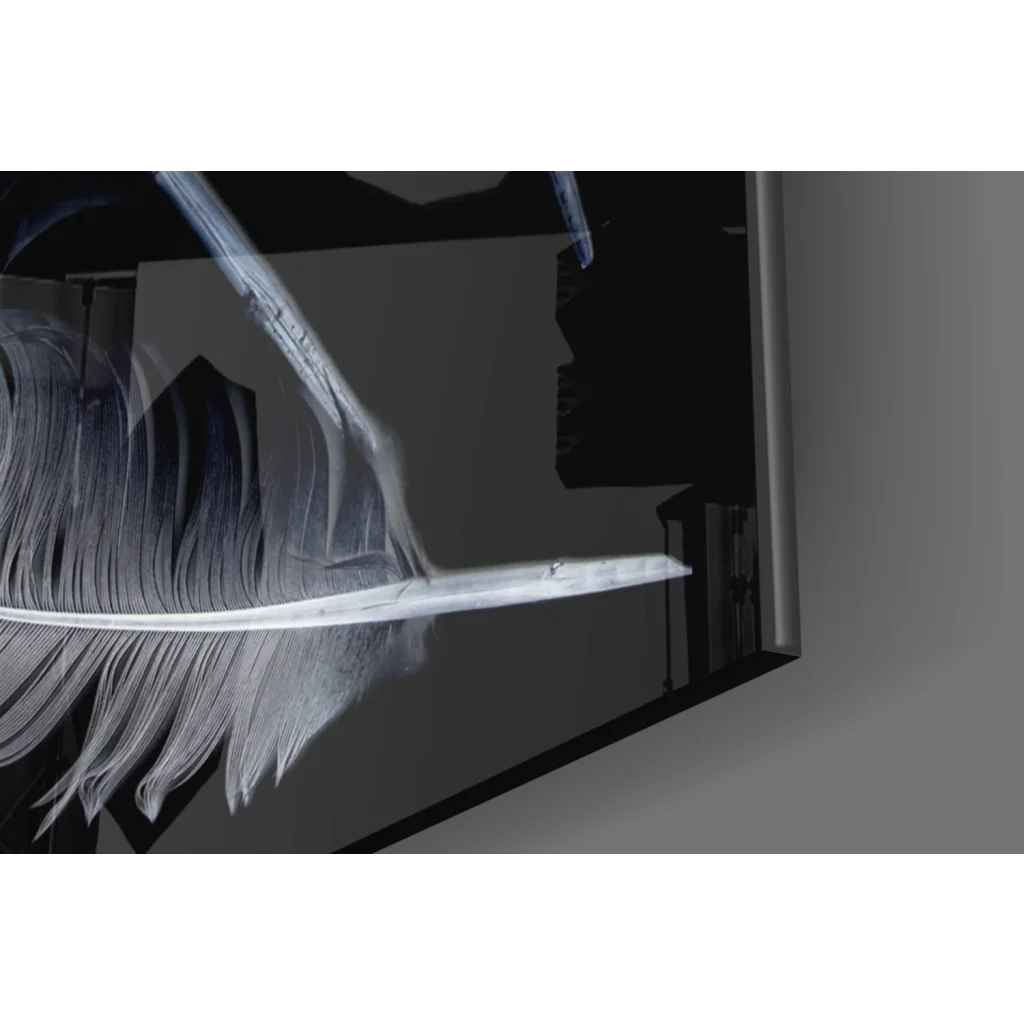 Stunning white feather hair extension with black tips in wall art