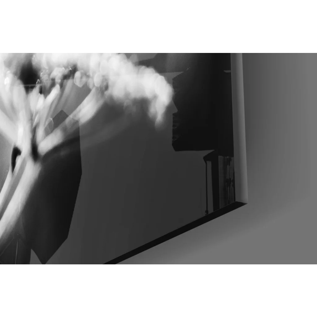 Stunning black and white floral canvas wall art with smoke machine