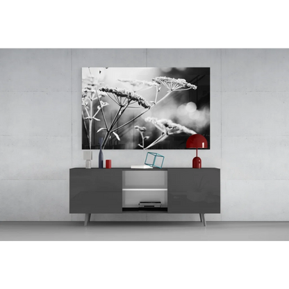 Samsung QLED TV in stunning black and white floral wall art