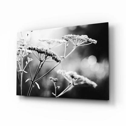 Stunning black and white floral canvas wall art print