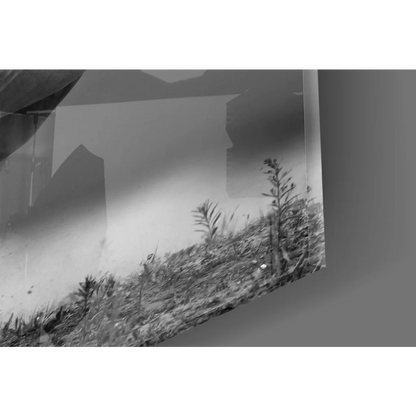 Black and white horse in motion canvas wall art with plant on soil