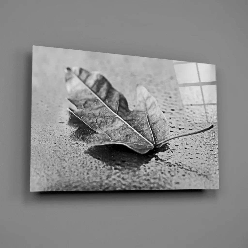 Stunning black white maple leaf canvas wall art print