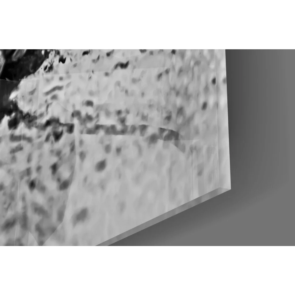 Stunning black white maple leaf textured canvas wall art print