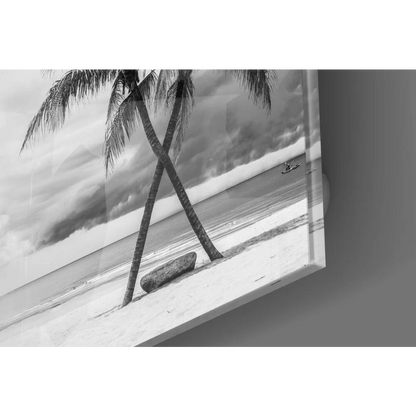 Stunning black white palm beach glass wall art print